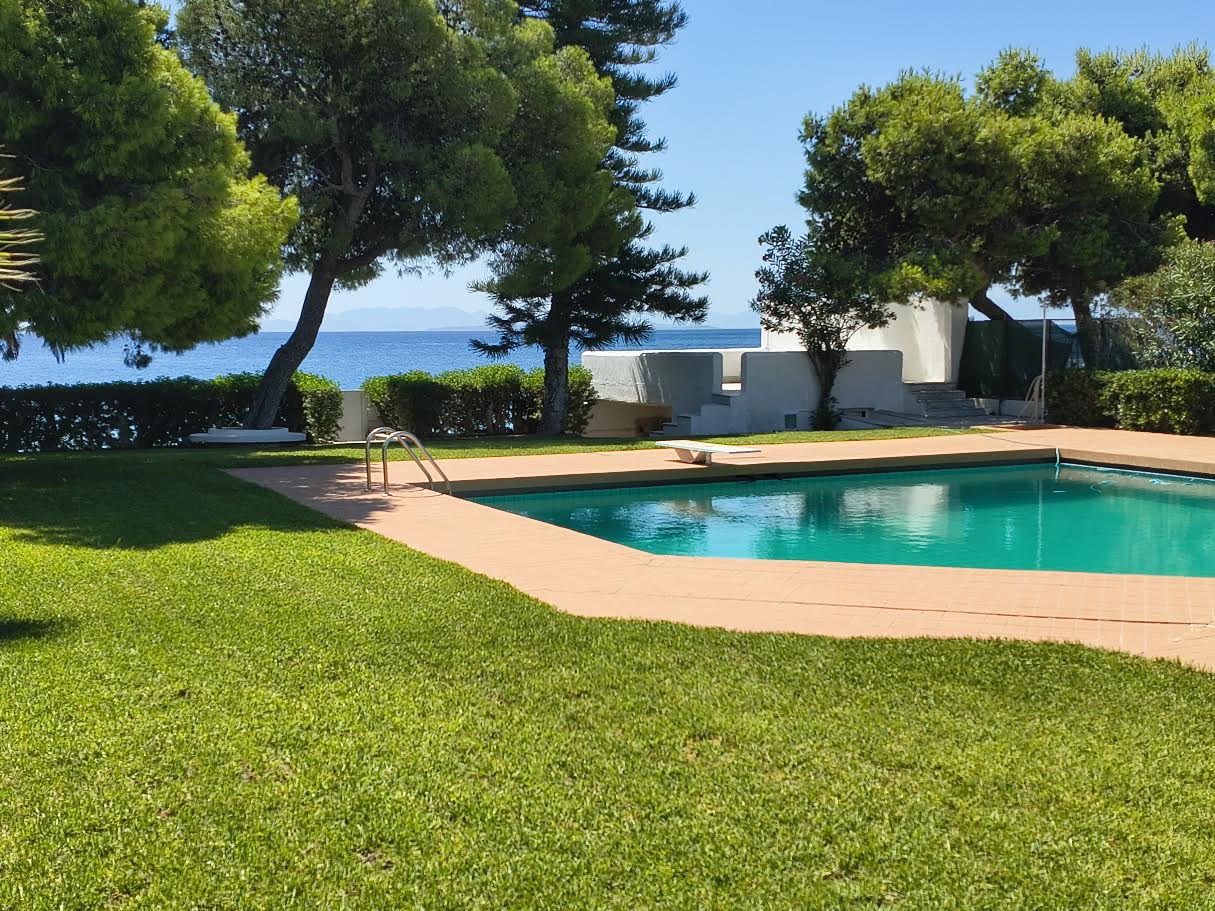 Aerial view of the pool, garden and sea